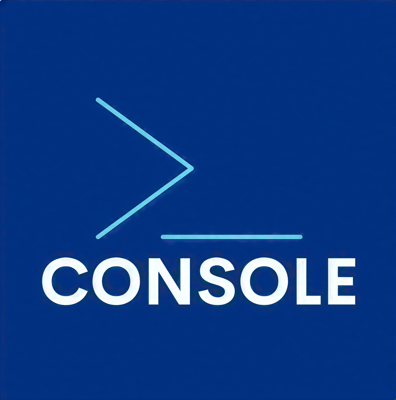 CONSOLE PVT LTD Logo